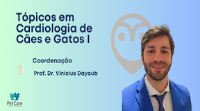 Veterinario examinando um gato