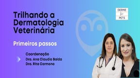 Veterinario segurando cachorro com alergia