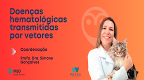 Veterinário colhendo sangue de um cachorro